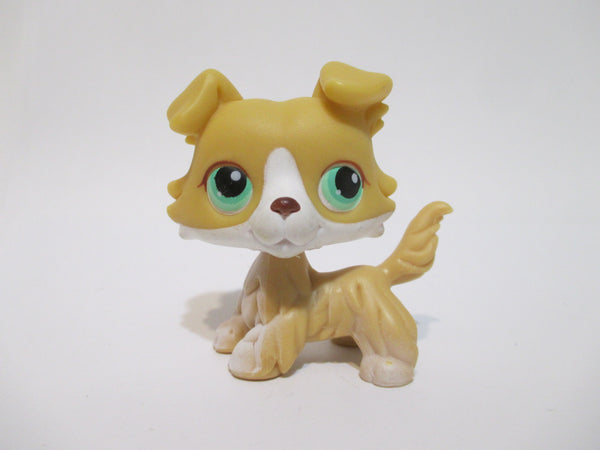 Littlest Pet Shop Rare HTF Golden Yellow & White Collie 272  Puppy Dog 100% Authentic DEC01J