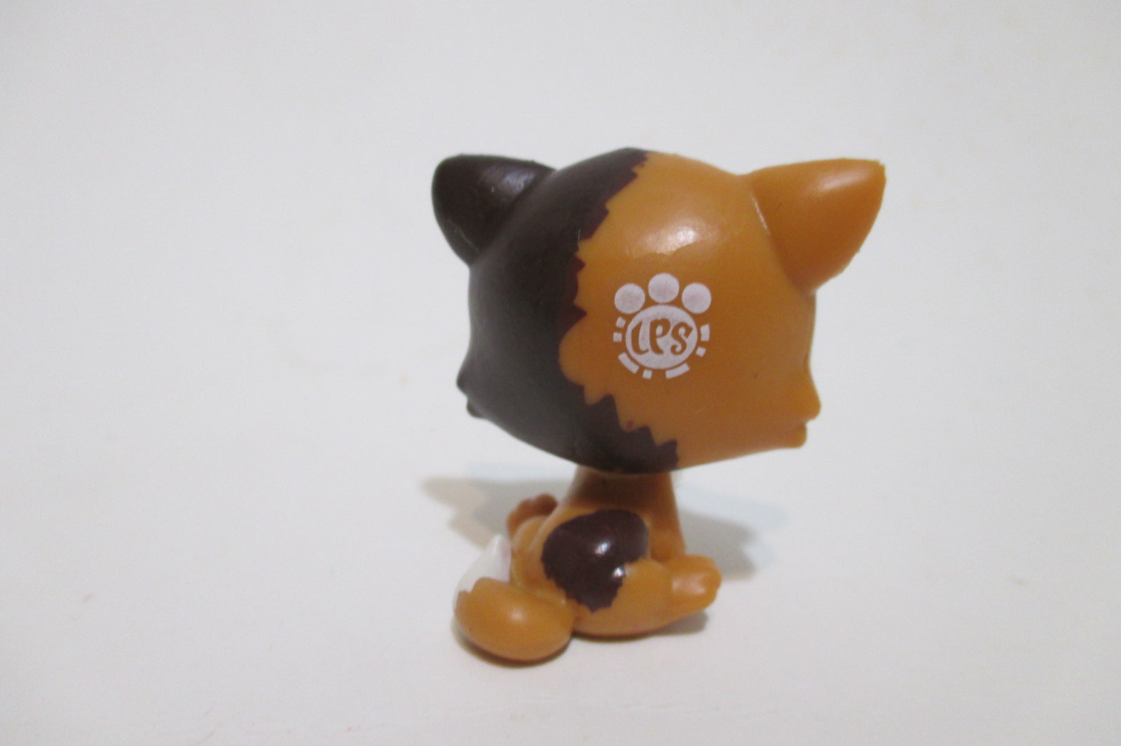 Littlest Pet Shop Calico Felina Cat Kitten 339 Authentic Lps NO16JPO50