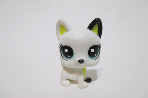 LIKE NEW Littlest Pet Shop Mini Baby White Black Dog 1-17 Donner Frenchly  Authentic Lps DEC08J
