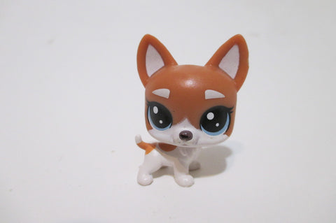 Littlest Pet Shop Mini Baby Dog Chihuahua Bree Lahuahua 2-94 Authentic Lps Mar22J
