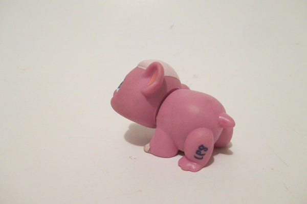 Littlest Pet Shop Pink Hamster Guinea Pig 1773 Blue Eyes Authentic Lps Nov7ni