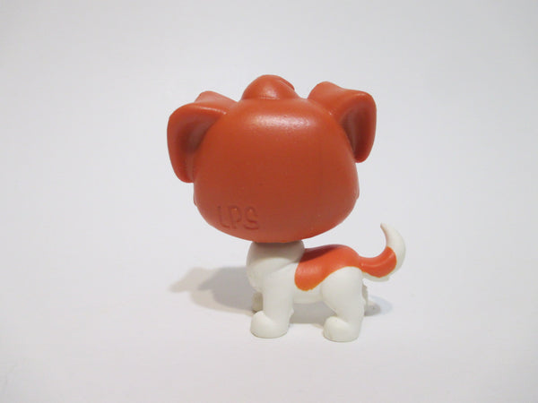 Littlest Pet Shop Thirsty Pet St Bernard Brown Dog 4-158 Authentic AIK FEB15J