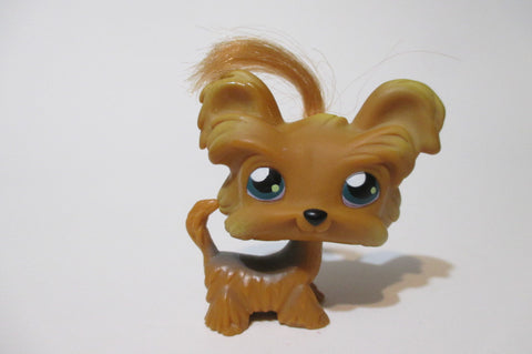 Littlest Pet Shop Brown Dog Shih Tzu Yorkie 6 Authentic LPS Nov17n