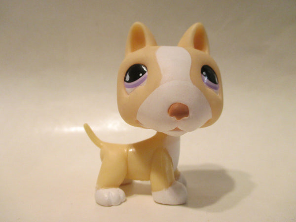 LIKE NEW Littlest Pet Shop LPS 860 Bull Terrier Bullterrier Dog Authentic Lps Dec12ni