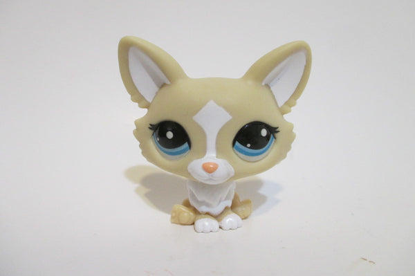 LIKE NEW Littlest Pet Shop Gen 7 #G7 Welsh Corgi Dog 12 Authentic Lps SEE VIDEO Feb9ni
