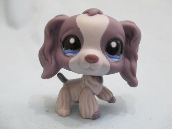 Littlest Pet Shop LPS 1209 Purple Cocker Spaniel Puppy Dog with Blue Eyes Authentic LPS Dec30ni