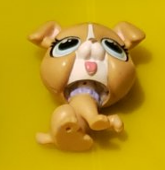 LIKE NEW Littlest Pet Shop Sydney Waggerby 4001 Boxer Authentic LPS Nov21na
