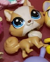 Littlest Pet Shop Madame Pom LeBlanc 248 Pets in the City Authentic LPS Nov26ni