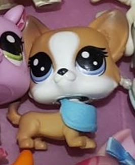 LIKE NEW Littlest Pet Shop Blossom Corgo 1-119 Corgi Authentic Dec03n