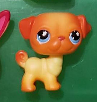 LIKE NEW Littlest Pet Shop Gen 7 G7 227 Pug Dog Puppy Authentic LPS Dec8n