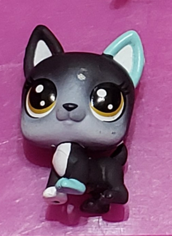 LIKE NEW Littlest Pet Shop Delilah Frenchly 1-8 French Bulldog Authentic LPS Jan22ni