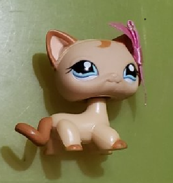 LIKE NEW Littlest Pet Shop Brown Swirl Shorthair Cat 1024 W Original Accessory Authentic LPS Dec05ni