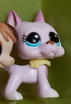 LIKE NEW Littlest Pet Shop Dog Great Dane 1022 with Original Collar Accessory Lps Authentic Dec05ni
