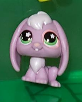 LIKE NEW Littlest Pet Shop Bunny Rabbit G7 #234 Authentic LPS Dec8n