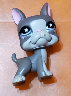 Littlest Pet Shop Dog Boston Terrier Star Eyes 958 Authentic Lps Minor Wear Dec10n