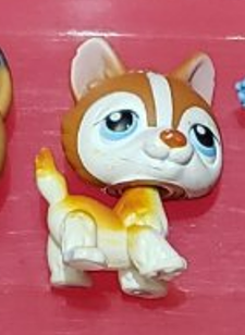 Littlest Pet Shop Husky 341 Brown Orange and White Dog Puppy with Blue Eyes LPS Has Initial Dec22ni