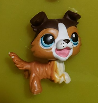 Littlest Pet Shop Collie Dog Puppy 237 Open Mouth Brown Tan White LPS Authentic Minor Wear Dec30ni
