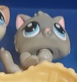 Littlest Pet Shop Cat Baby Kitten 66 Gray With Blue Eyes Authentic Lps Minor Wear Jan29ni