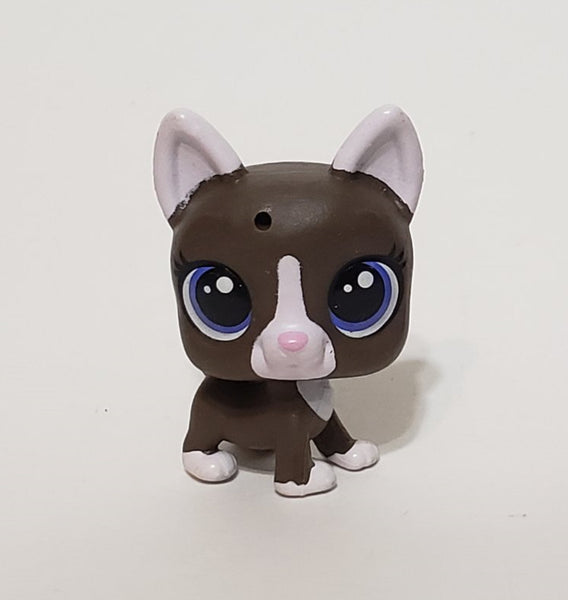 Littlest Pet Shop Cutest Mini Baby Boston Terrier Authentic Lps JUL30J