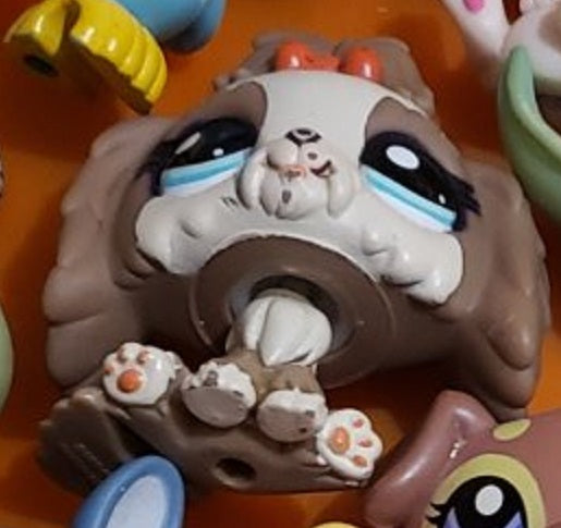 Littlest Pet Shop Dog Maltese Lhasa 2130 Authentic Minor Wear Apr12j