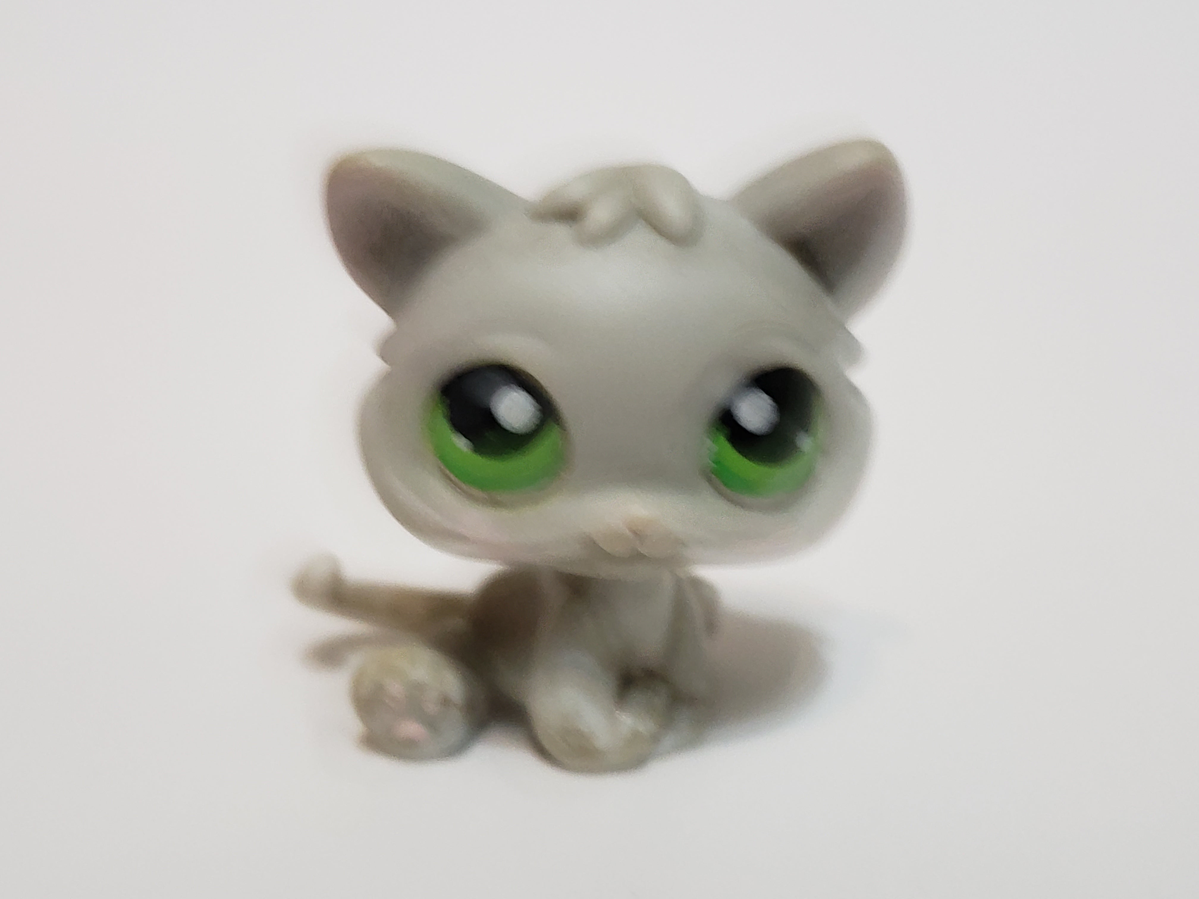 Littlest Pet Shop 88 Small Gray Grey Baby Kitten Cat Authentic Lps ...