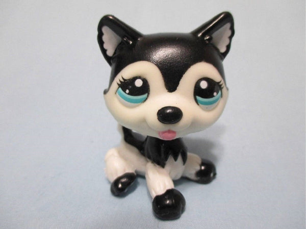 LIKE NEW Littlest Pet Shop Dog Black Blythe Husky 2246 Authentic Lps DEC10J