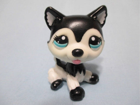 LIKE NEW Littlest Pet Shop Dog Black Blythe Husky 2246 Authentic Lps DEC10J