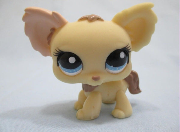 LIKE NEW Littlest Pet Shop Cream Chihuahua 1171 Puppy Dog Authentic Nov30npoHG