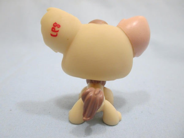 LIKE NEW Littlest Pet Shop Cream Chihuahua 1171 Puppy Dog Authentic Nov30npoHG
