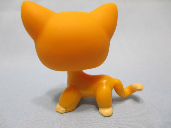 Littlest Pet Shop Shorthair Siamese Cat Orange 855 Moon Eyes Authentic Lps Dec8n