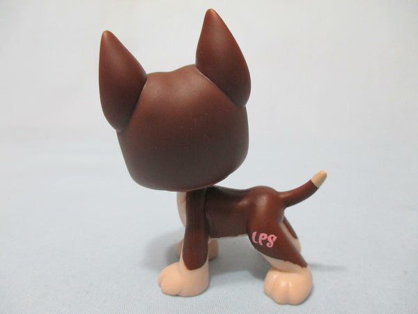 Littlest Pet Shop Great Dane Dog 817 Brown & Cream Blue Dot Eyes LPS Authentic DEC27J