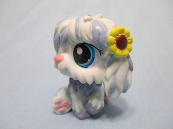 LIKE NEW Littlest Pet Shop 1712 SHEEPDOG Sunflower Dog Authentic DEC08J