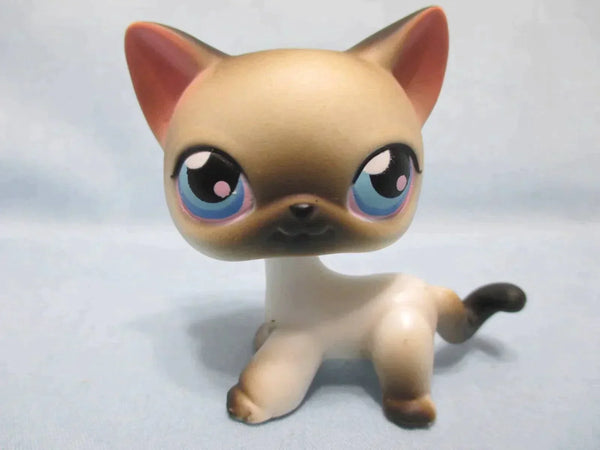 Littlest Pet Shop Cat Siamese Shorthair 5 Authentic Lps DEC17J