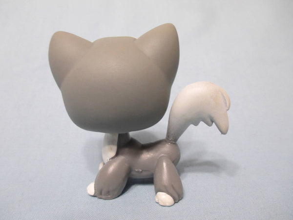 LIKE NEW Littlest Pet Shop LPS White Grey Long Hair Angora Cat No Number Authentic Lps FEB14J