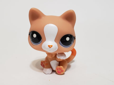 LIKE NEW Littlest Pet Shop G7 Gen 7 Cat Kitten #34 Authentic LPS Nov27ni