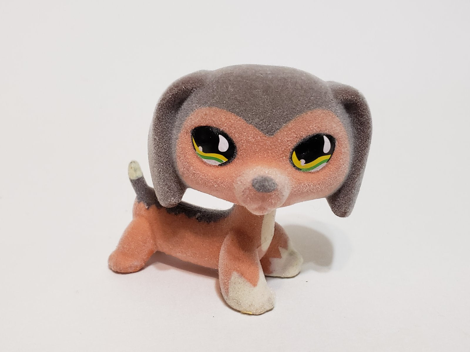 Littlest Pet Shop Savannah Dachshund Dachsund Savvy 675 HTF LPS Dashund ...