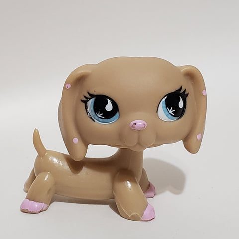 Littlest Pet Shop Dachshund Dachsund Duchshund  Weiner Dog 909 RARE HTF  Authentic Original Lps DEC04J