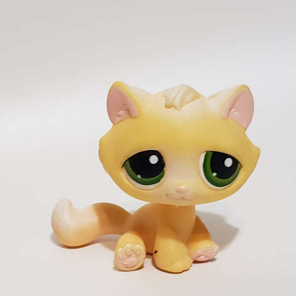 Littlest Pet Shop Rare Variation Bon Bon Tabby Cat Green Eyes 273  Authentic LPS Dec05ni