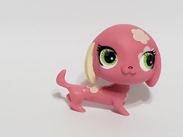 LITTLEST PET SHOP DACHSHUND DACHSUND DOG FLOWER GREEN EYES 2735 Authentic Lps APR13J