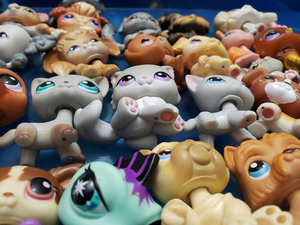 Littlest Pet Shop Grey Chinchilla 144 Authentic Lps Jan28ni