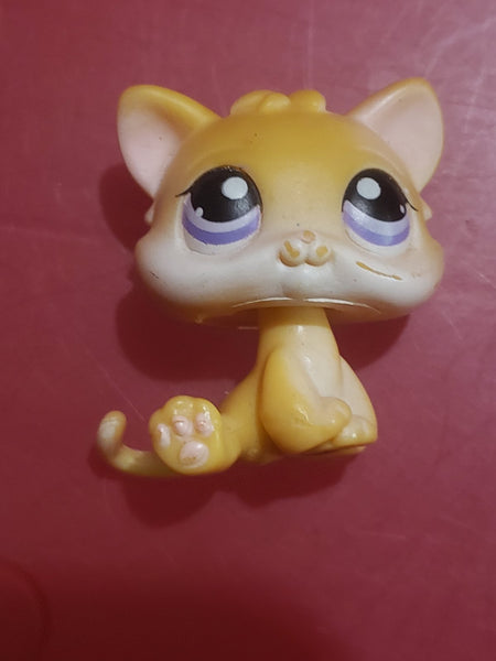 Littlest Pet Shop 114 Yellow Orange Baby Kitten Cat Authentic Lps Minor Wear Jan30na