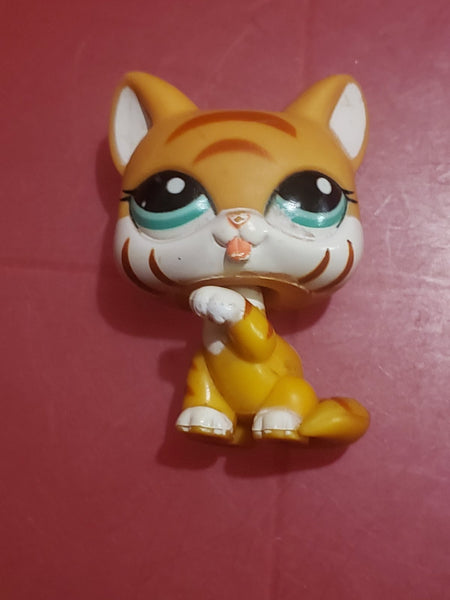 Littlest Pet Shop Shorthair Cat Bengal Tiger Licking Paws Orange 2332 Authentic Lps Minor Wear Jan30na