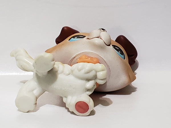 Littlest Pet Shop Dog Border Collie Sage Paw Up 58 With Original Collar Accessory Authentic Lps Feb6ni