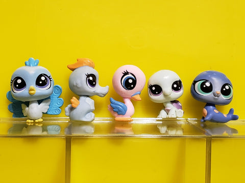 Littlest Pet Shop Set of 5 Turtles Mini Baby Babies Authentic LPS Feb20ni
