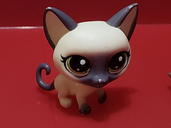Littlest Pet Shop Cat Siamese Shorthair Sultanna Siam  1-97  AIK Authentic LPS May10wn