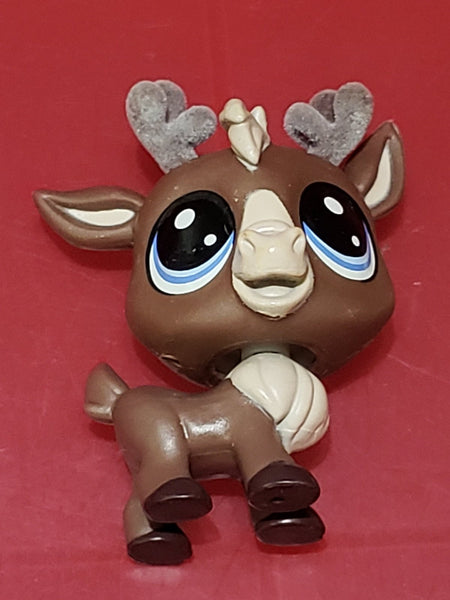 Littlest Pet Shop Reindeer Moose Jason Caribooney 1-159  LPS Authentic AIK AS SEEN ON So Much Inlove Episode 5 May10wn