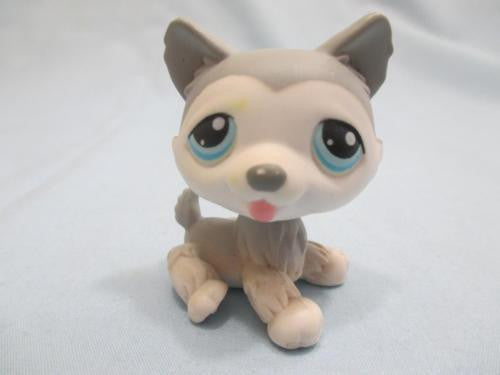 LIKE NEW Littlest Pet Shop 70 Gray And White Siberian Husky Teal Blue Eyes Puppy Dog Authentic Lps Dec29ni