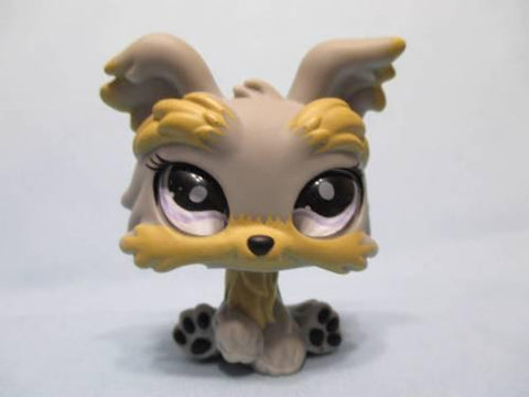 Littlest Pet Shop 883 Yorkie Puppy Dog with Realistic Glass Eyes Authentic Lps FEB10J