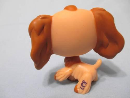 LIKE NEW Littlest Pet Shop 1318 Brown Cocker Spaniel Spaniel Blue Eyes ...