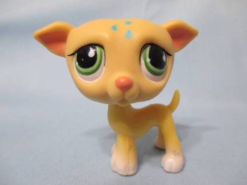 LIKE NEW Littlest Pet Shop 875 Whippet Greyhound Dog Green Eyes Greyhound Authentic Dec06npo29